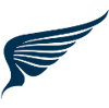NetAngelS Logo