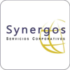 Synergos SS.CC. Logo