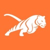 TIGER MARKETING Group GmbH Logo