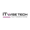 IT Wise Tech Logo