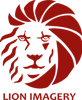 Lion Imagery LLC Logo