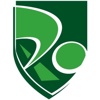 Pro Financial Services Group Logo