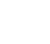 Ceradini Logo
