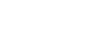 Finest Web Studios Logo