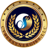 Cybersynergies Logo
