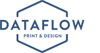 Data Flow Logo