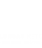Lungas Logo