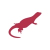 Chuckwalla Design Logo