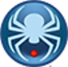 Clever Spider Consulting Group Logo