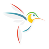 ColibriCode Logo