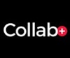 CollabWeb Digital Marketing Company Logo