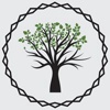 Creative Forest Logo
