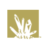 Crystal Peak Design Logo
