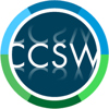 Custom Computer Services Logo