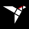 Black Woodpecker Software Logo