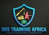 OHS Training Africa Logo