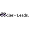 Oodles of Leads Logo