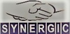 Synergic Management Consultants Private Limited Logo