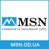 Web studio MSN Logo