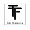 TRIFUSION INFOTECH PVT. LTD Logo