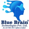 Blue Brain Technologies Private Limited Logo