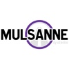 Mulsanne Systems Ltd Logo