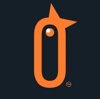 Shout Sparrow Logo
