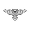 Morphiaas USA Logo