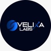 Velixa Labs Logo