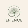 Efience LLC Logo