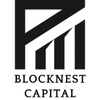 BlockNest Capital Logo