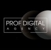 Prof Digital Agency Logo