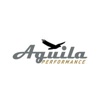Aguila Performance Logo