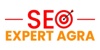 SEO Expert Agra Logo