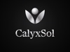 CalyxSol Logo