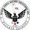 Black Eagle Secure Solutions Inc Logo