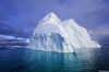 Iceberg Logo