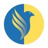 Falcon Informatics Logo