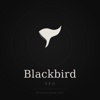 Blackbird SEO Logo