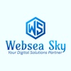 Websea sky Logo