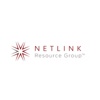 Netlink Resource Group – API Integration Services & Custom API Development Logo