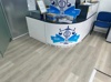 Qazi and Co Solicitors Limited Logo