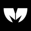 My Motion Guy Logo