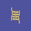 iellou design Logo
