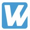 Witfuse Solutions Logo