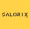 Salorix IT Pvt Limited Logo