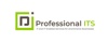 Professional IT Solutions Logo