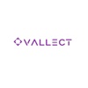 Vallect Logo