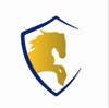 Innovation Star Consultants LLC Logo
