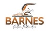 Barnes Author Publication Logo